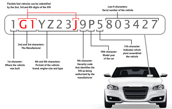 How to check Vehicle VIN for free (detailed guide) - Xtremeloaded