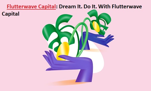 Flutterwave Capital Can Help You Expand Your Business