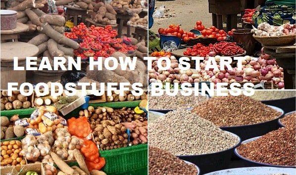 business plan for food business in nigeria