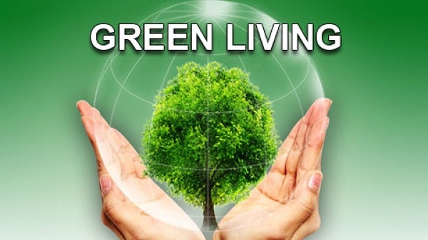 10 Simple Steps for Embracing Green Living and Saving the Planet